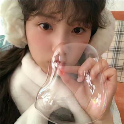 黑猩猩的世界